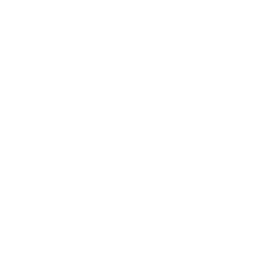 bernd martin curriculum vitae