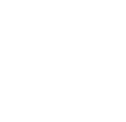 bernd martin resume